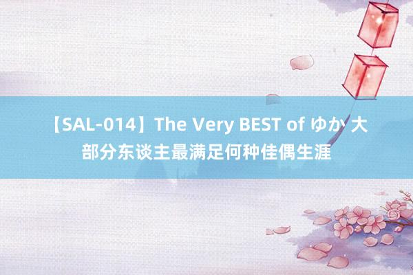 【SAL-014】The Very BEST of ゆか 大部分东谈主最满足何种佳偶生涯