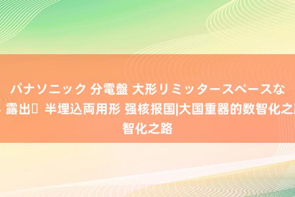 パナソニック 分電盤 大形リミッタースペースなし 露出・半埋込両用形 强核报国|大国重器的数智化之路