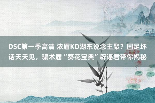 DSC第一季高清 浓眉KD湖东说念主聚？国足坏话天天见，骗术届“葵花宝典”辟谣君带你揭秘