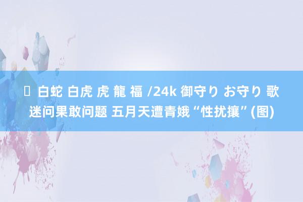 ✨白蛇 白虎 虎 龍 福 /24k 御守り お守り 歌迷问果敢问题 五月天遭青娥“性扰攘”(图)