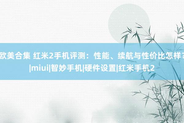 欧美合集 红米2手机评测：性能、续航与性价比怎样？|miui|智妙手机|硬件设置|红米手机2