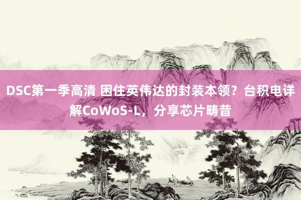 DSC第一季高清 困住英伟达的封装本领？台积电详解CoWoS-L，分享芯片畴昔