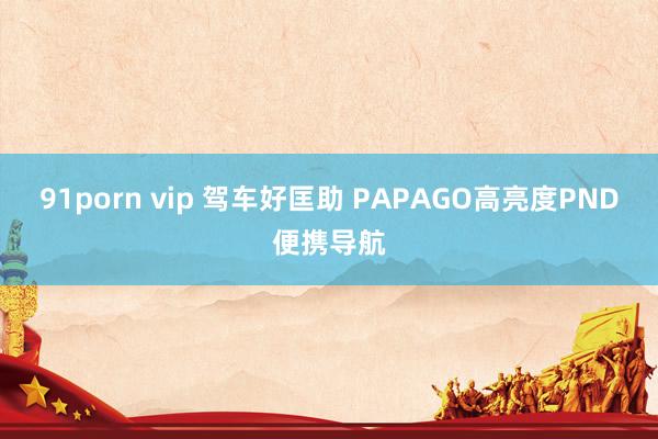 91porn vip 驾车好匡助 PAPAGO高亮度PND便携导航