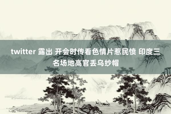 twitter 露出 开会时传看色情片惹民愤 印度三名场地高官丢乌纱帽