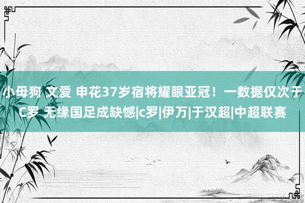 小母狗 文爱 申花37岁宿将耀眼亚冠！一数据仅次于C罗 无缘国足成缺憾|c罗|伊万|于汉超|中超联赛