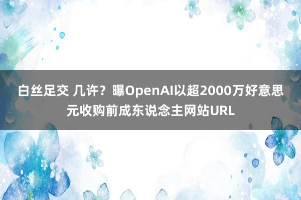 白丝足交 几许？曝OpenAI以超2000万好意思元收购前成东说念主网站URL