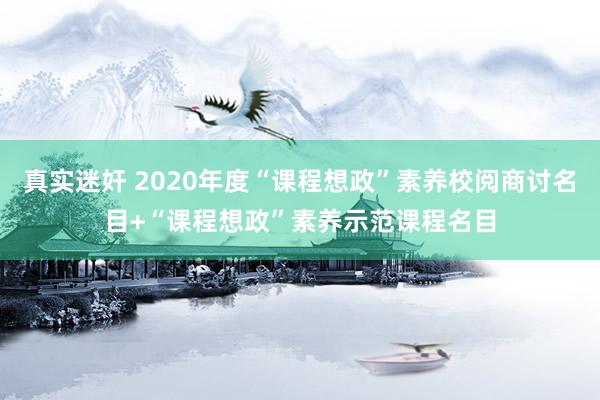 真实迷奸 2020年度“课程想政”素养校阅商讨名目+“课程想政”素养示范课程名目