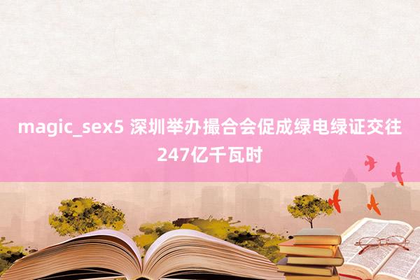 magic_sex5 深圳举办撮合会促成绿电绿证交往247亿千瓦时