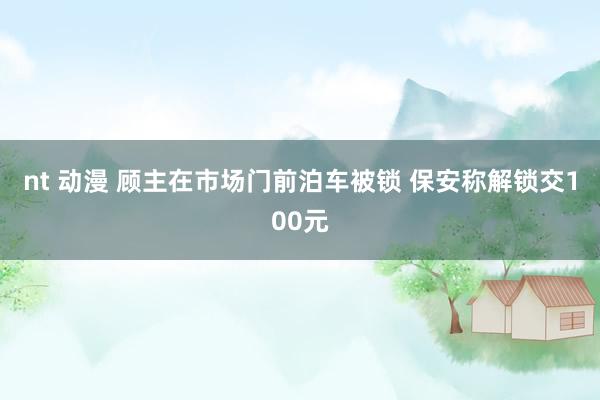 nt 动漫 顾主在市场门前泊车被锁 保安称解锁交100元