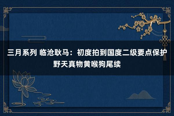 三月系列 临沧耿马：初度拍到国度二级要点保护野天真物黄喉狗尾续